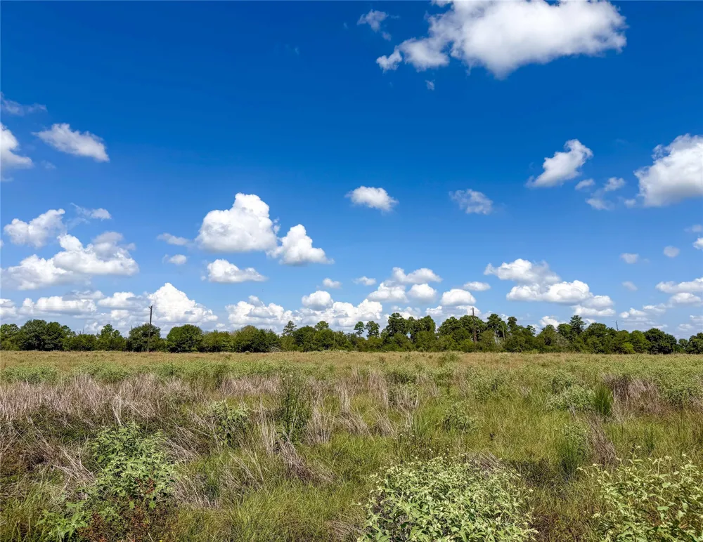 2085 CR 3620 Lovelady, TX 75851