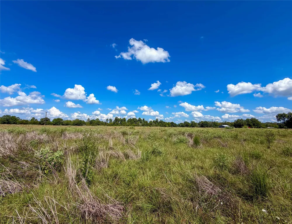 2085 CR 3620 Lovelady, TX 75851