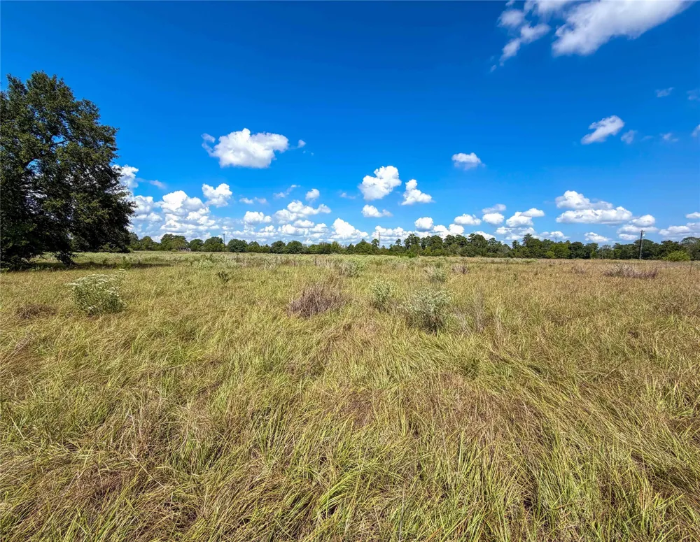 2085 CR 3620 Lovelady, TX 75851