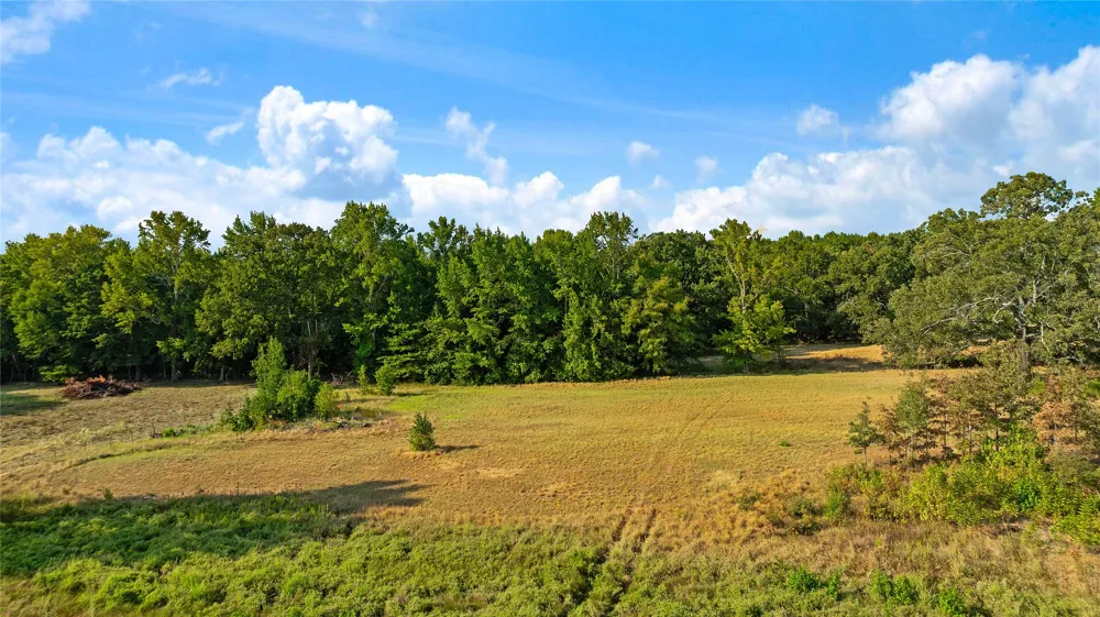 6517 County Road 45600 Blossom, TX 75416