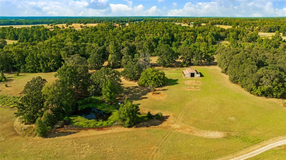 6517 County Road 45600 Blossom, TX 75416