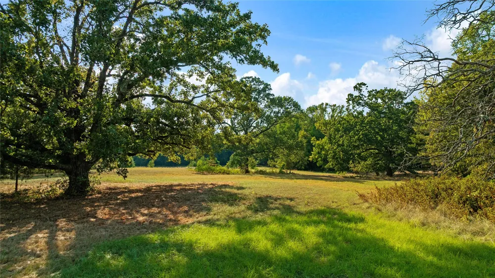6517 County Road 45600 Blossom, TX 75416