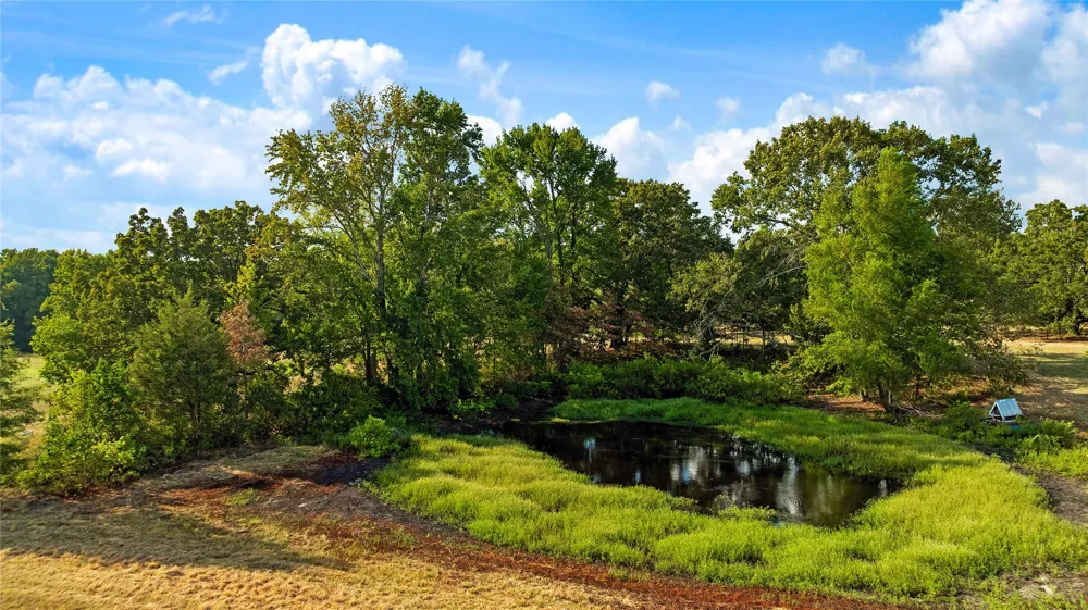 6517 County Road 45600 Blossom, TX 75416