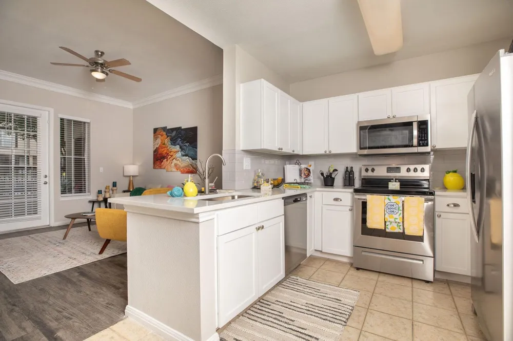 4001 Fannin Street #4517 Houston, TX 77004