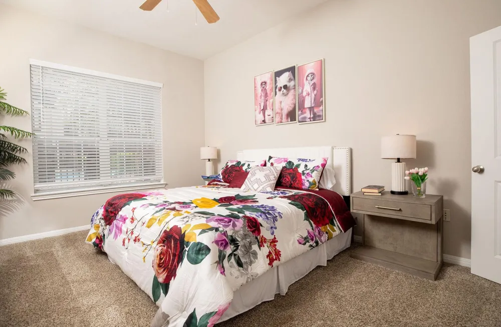 4001 Fannin Street #4517 Houston, TX 77004
