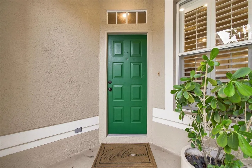 3206 AUDUBON COURT Tarpon Springs, FL 34688