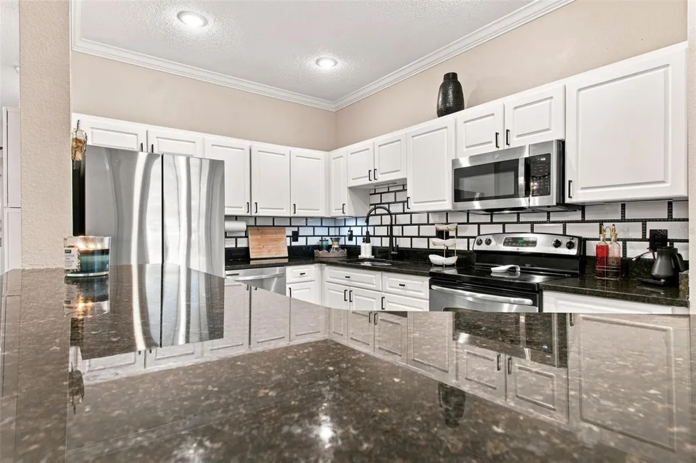 3206 AUDUBON COURT Tarpon Springs, FL 34688
