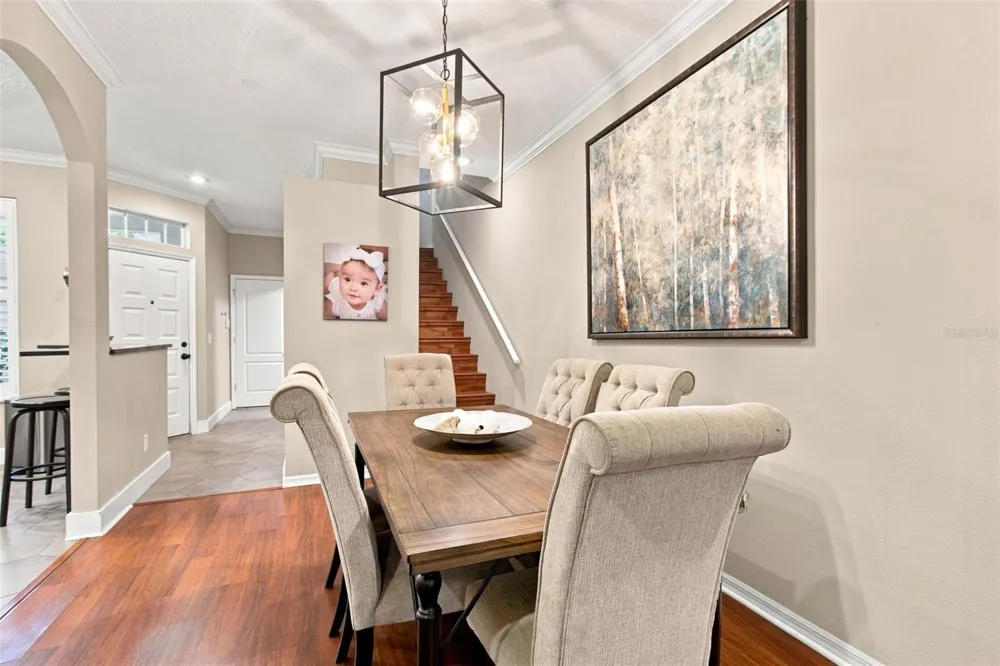 3206 AUDUBON COURT Tarpon Springs, FL 34688
