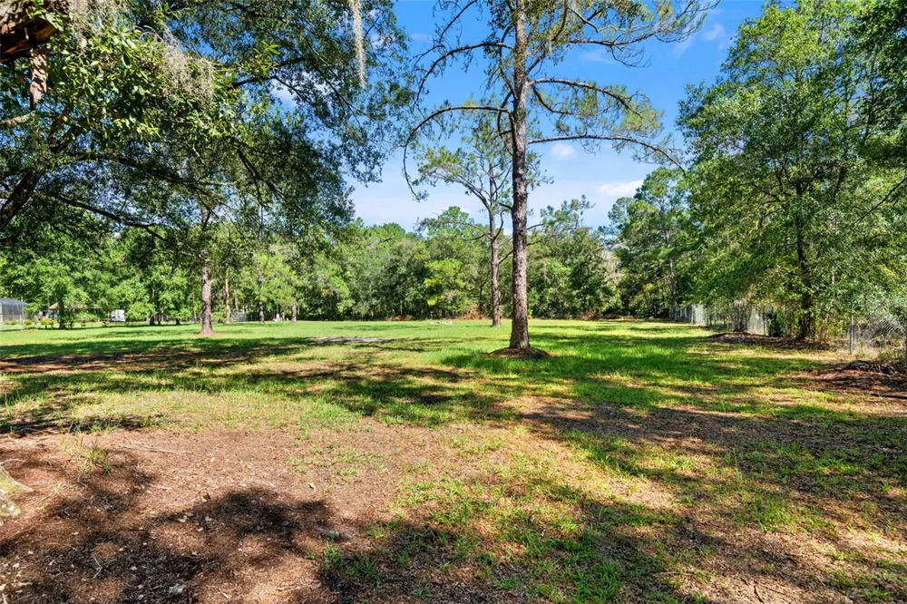 5428 DREXEL ROAD Land O Lakes, FL 34638