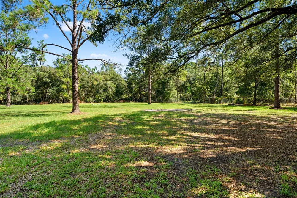 5428 DREXEL ROAD Land O Lakes, FL 34638