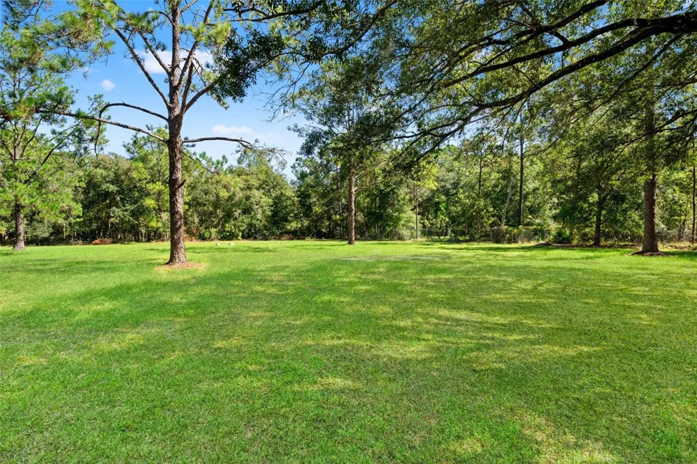 5428 DREXEL ROAD Land O Lakes, FL 34638