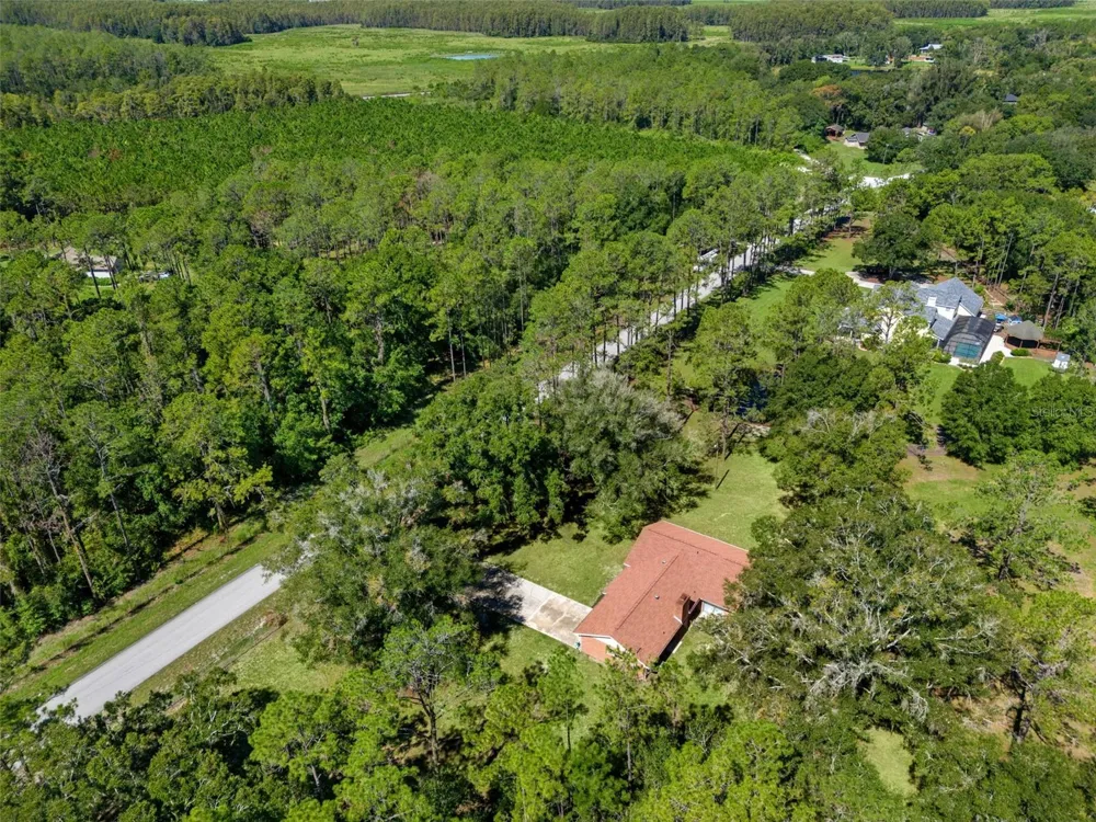5428 DREXEL ROAD Land O Lakes, FL 34638