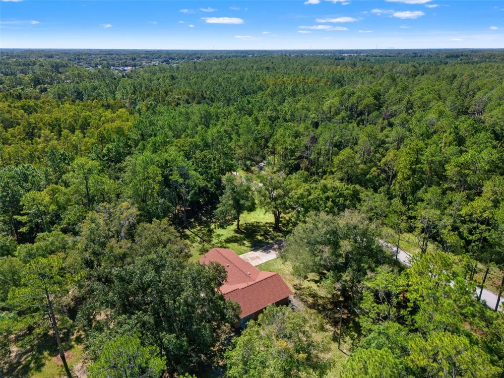 5428 DREXEL ROAD Land O Lakes, FL 34638