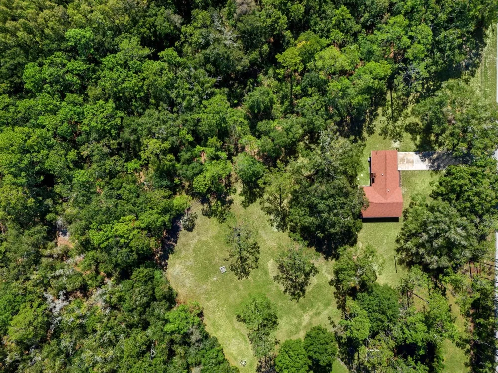 5428 DREXEL ROAD Land O Lakes, FL 34638
