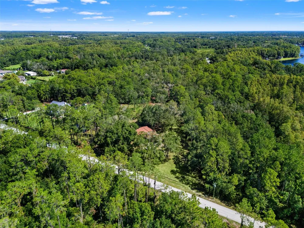 5428 DREXEL ROAD Land O Lakes, FL 34638