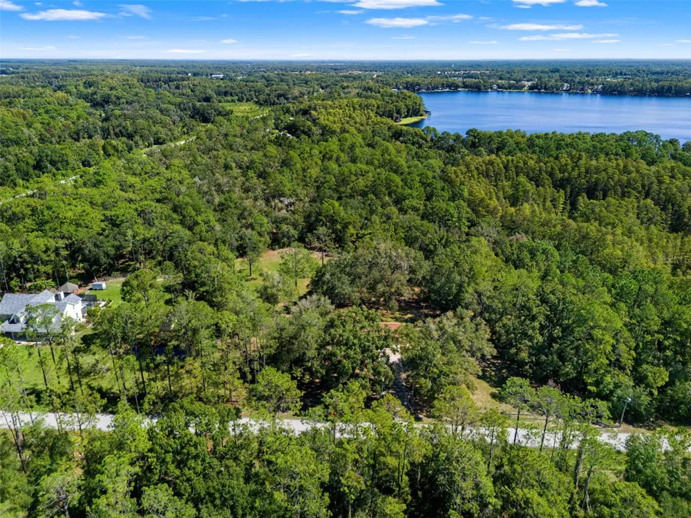 5428 DREXEL ROAD Land O Lakes, FL 34638