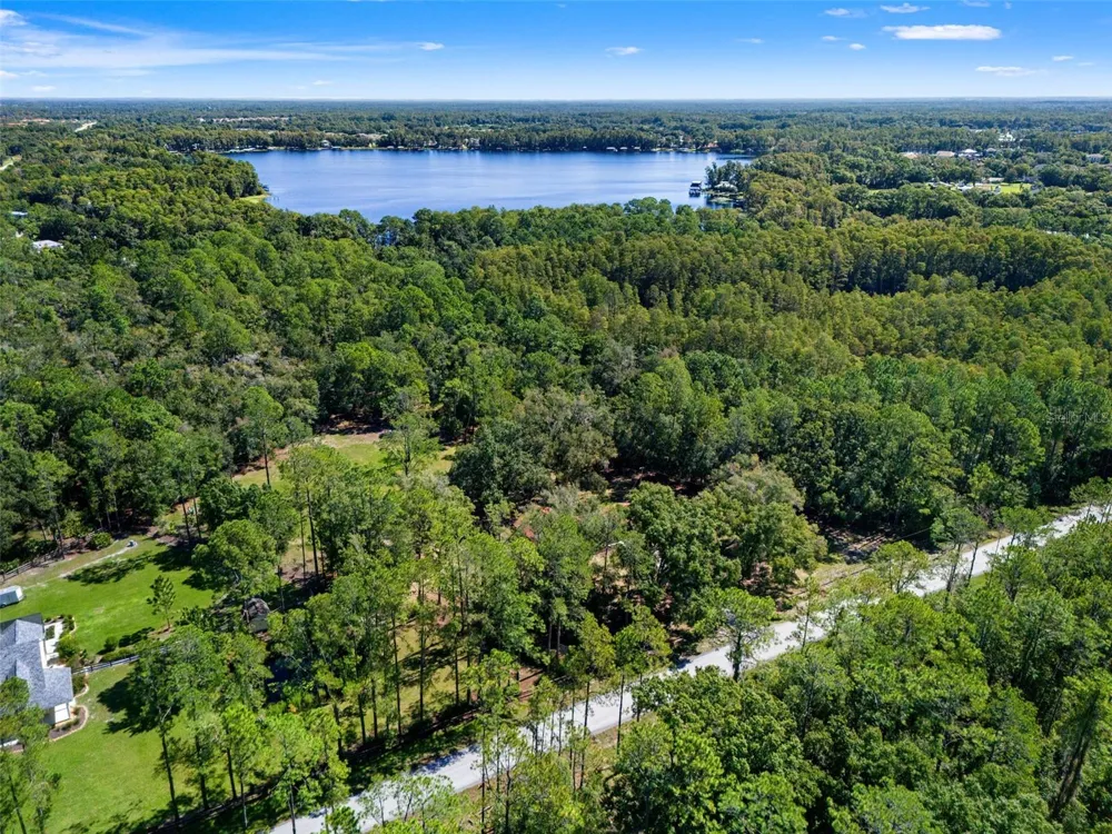5428 DREXEL ROAD Land O Lakes, FL 34638
