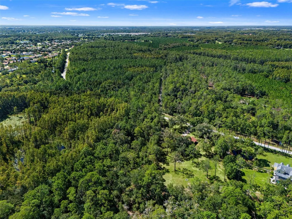 5428 DREXEL ROAD Land O Lakes, FL 34638
