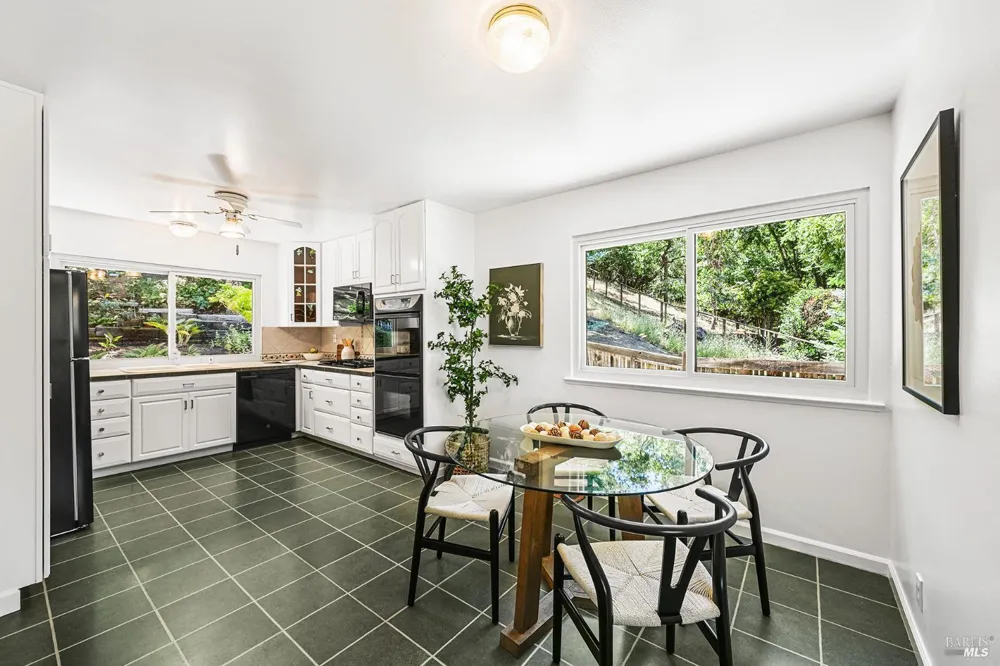 501 Willow Court Novato, CA 94945
