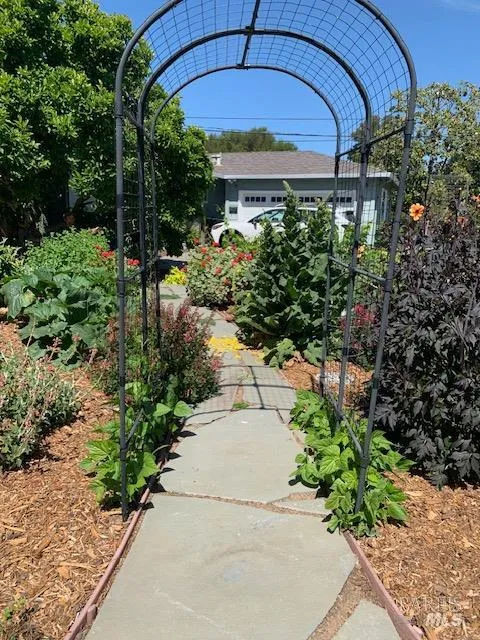204 Sutter Street Petaluma, CA 94954