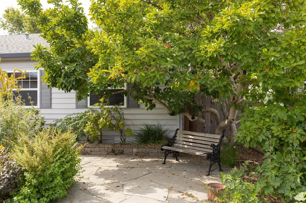 204 Sutter Street Petaluma, CA 94954