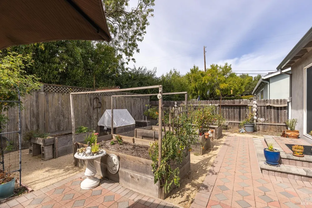 204 Sutter Street Petaluma, CA 94954