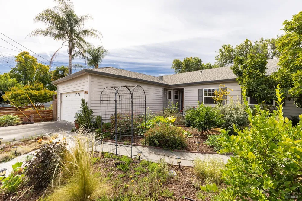 204 Sutter Street Petaluma, CA 94954