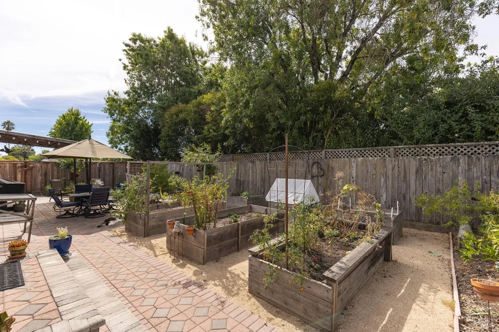 204 Sutter Street Petaluma, CA 94954