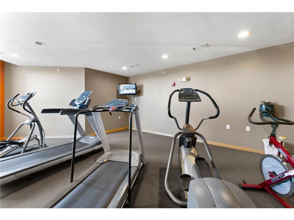 3640 Wooddale Avenue S #319 Saint Louis Park, MN 55416