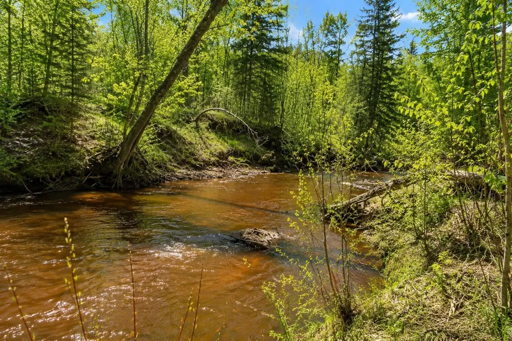 XXX Co Rd 8 Holyoke, MN 55749