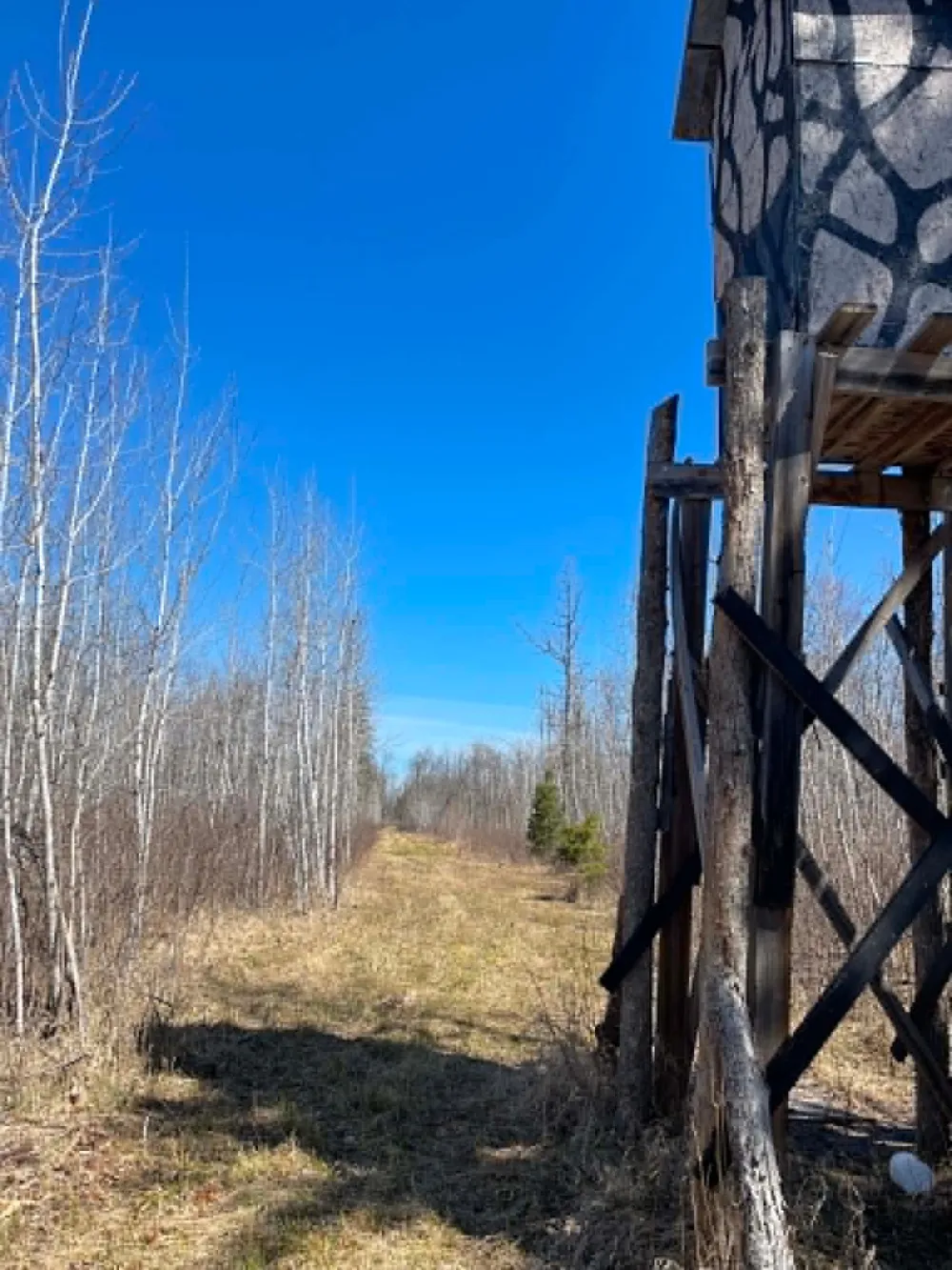XXX Co Rd 8 Holyoke, MN 55749