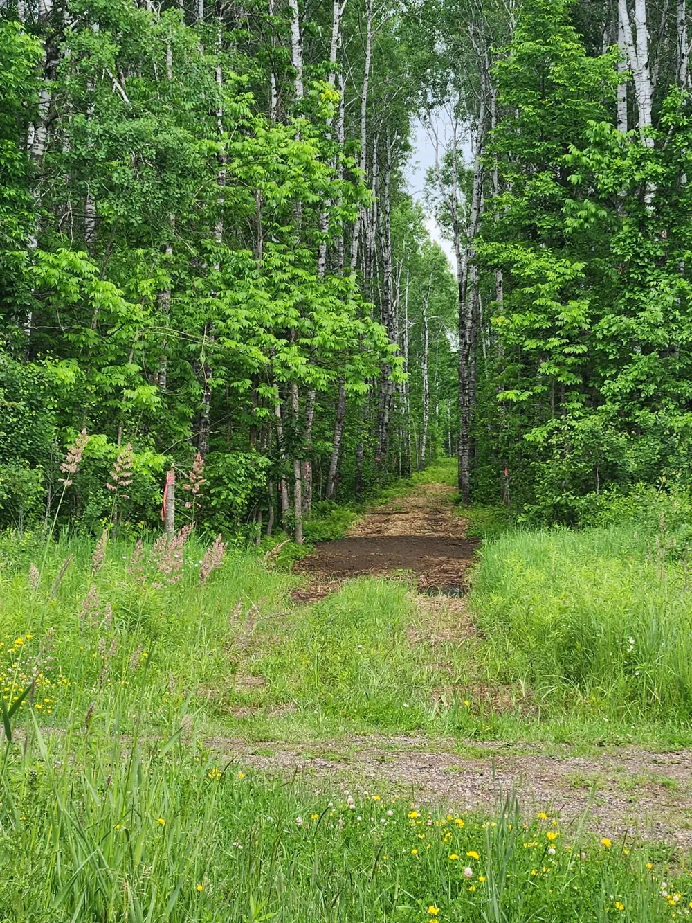 XXX Co Rd 8 Holyoke, MN 55749