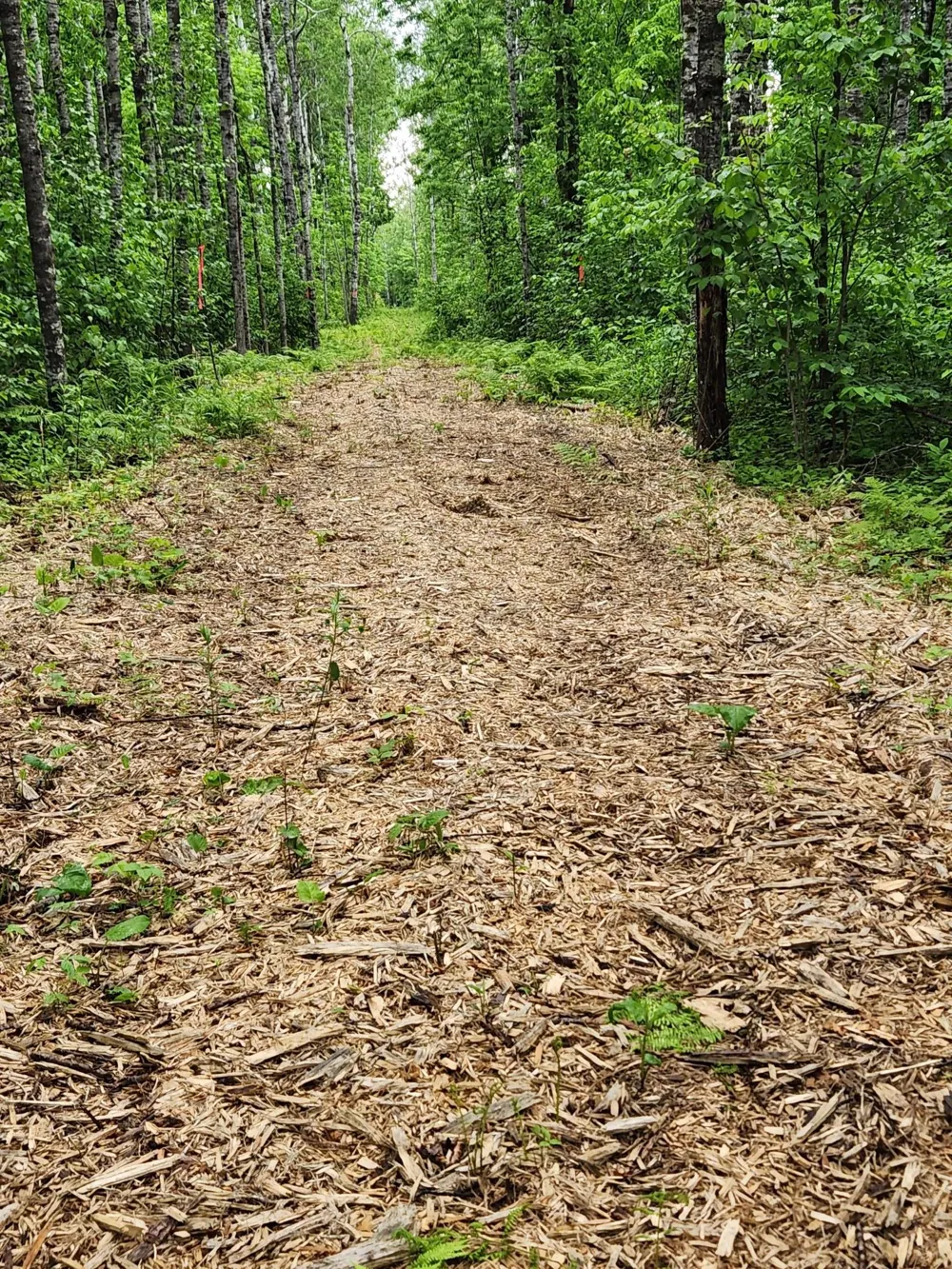 XXX Co Rd 8 Holyoke, MN 55749