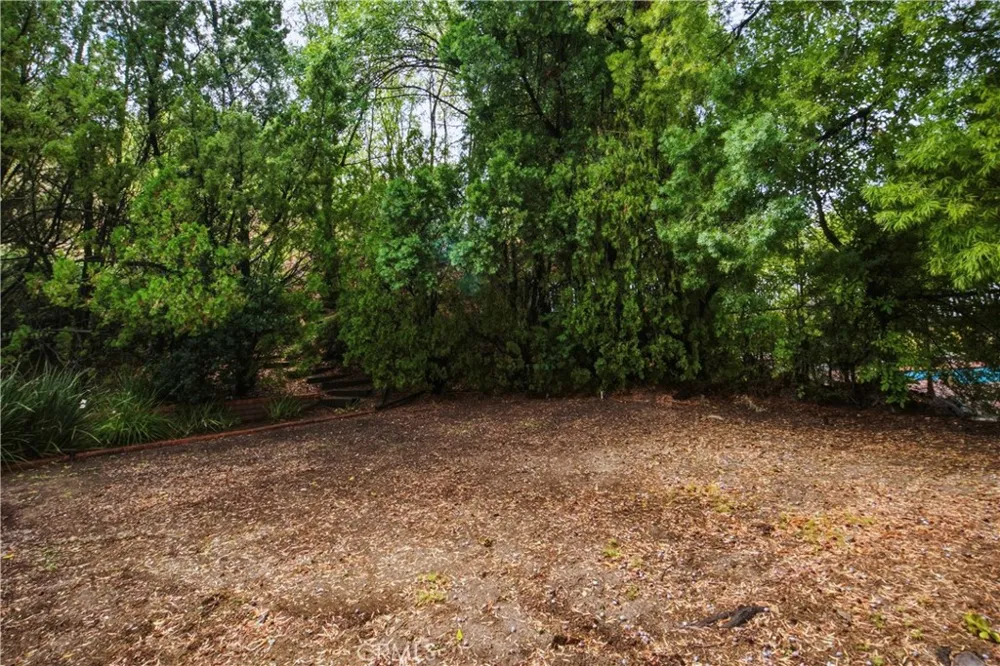 20164 Santa Rita Woodland Hills, CA 91364