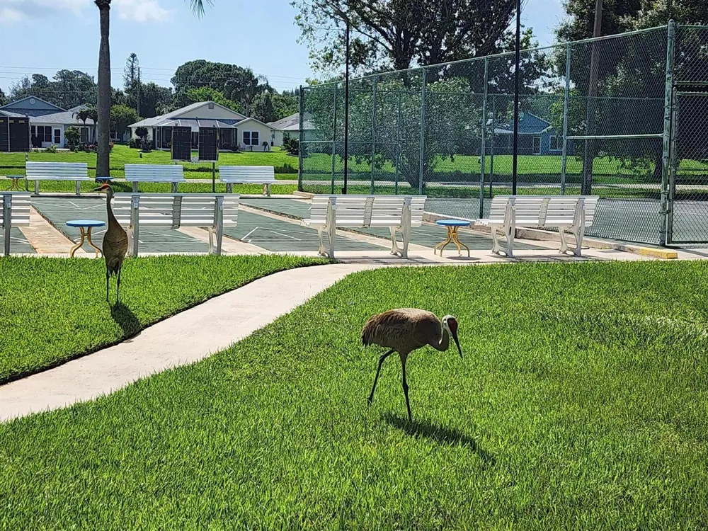 5668 Travelers Way Fort Pierce, FL 34982
