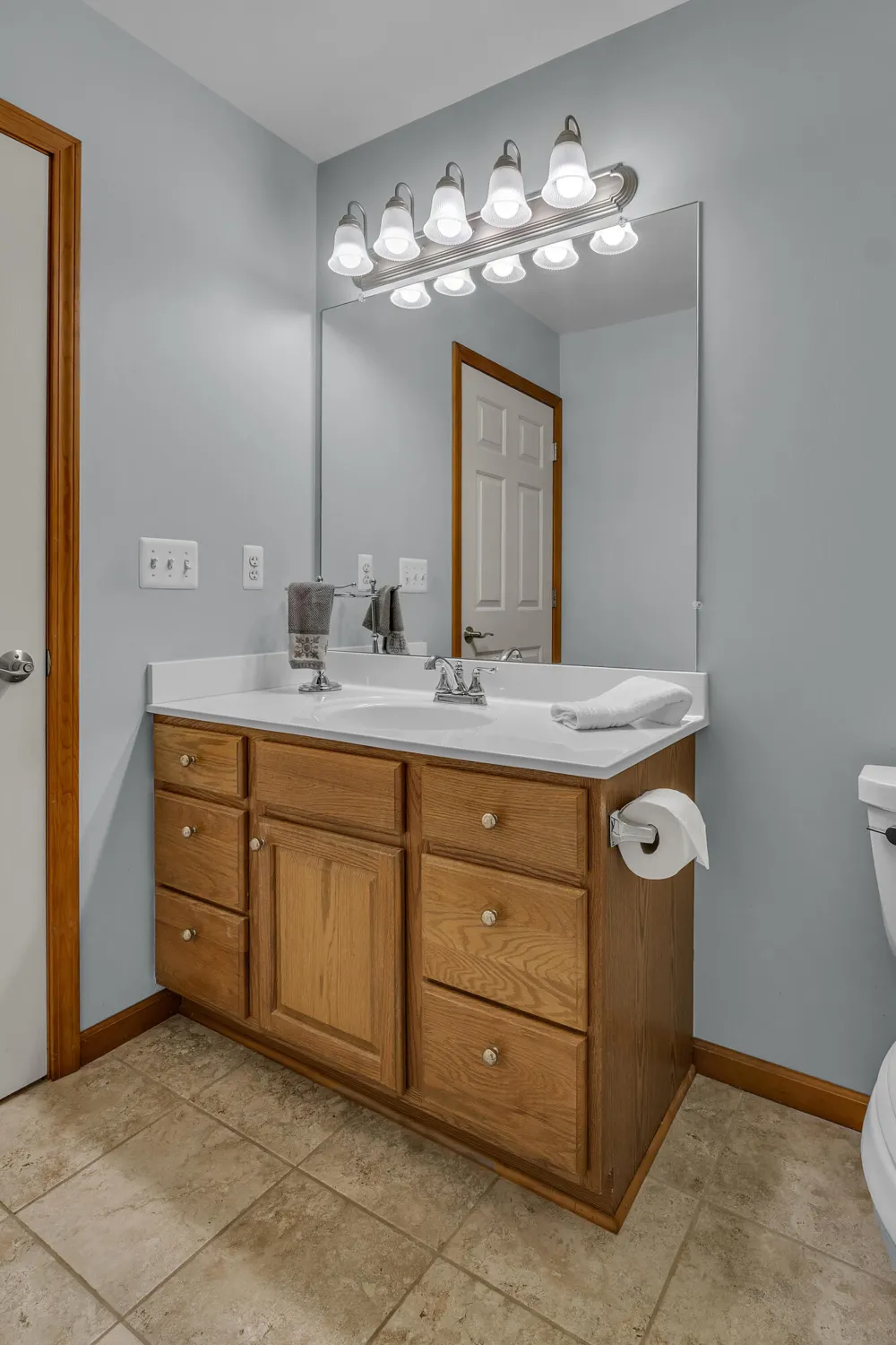 463 Cottonwood Lane Saline City, MI 48176
