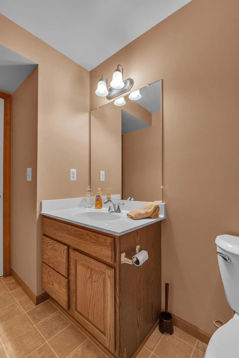 463 Cottonwood Lane Saline City, MI 48176
