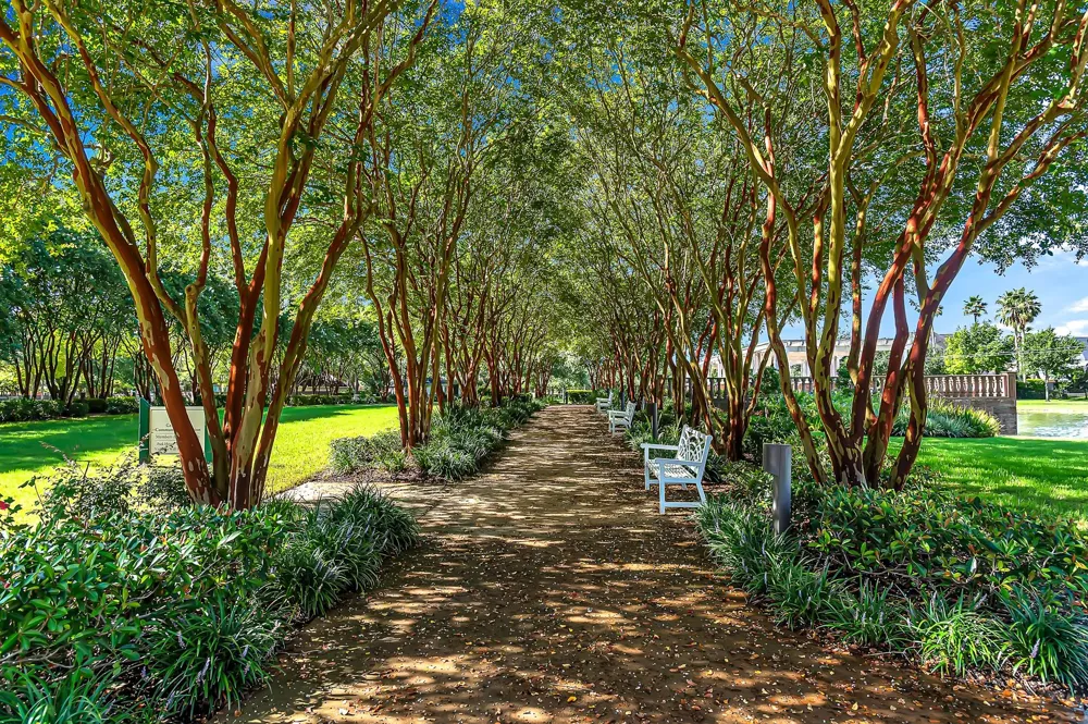 22510 Country Cove Lane Katy, TX 77494