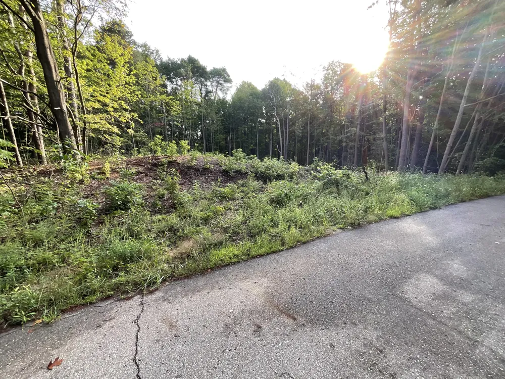 Crescent Drive Fennville, MI 49408