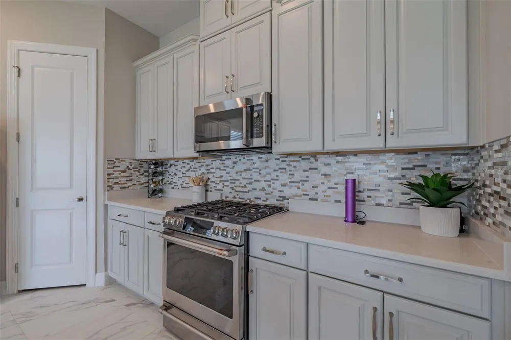 4727 FRECCIA LOOP Wesley Chapel, FL 33543