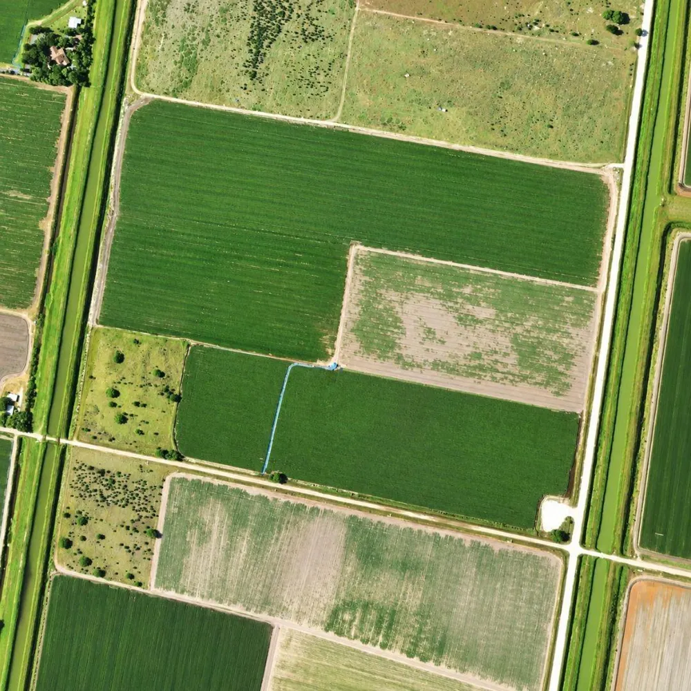 N Of Gracia Road Rio Hondo, TX 78583