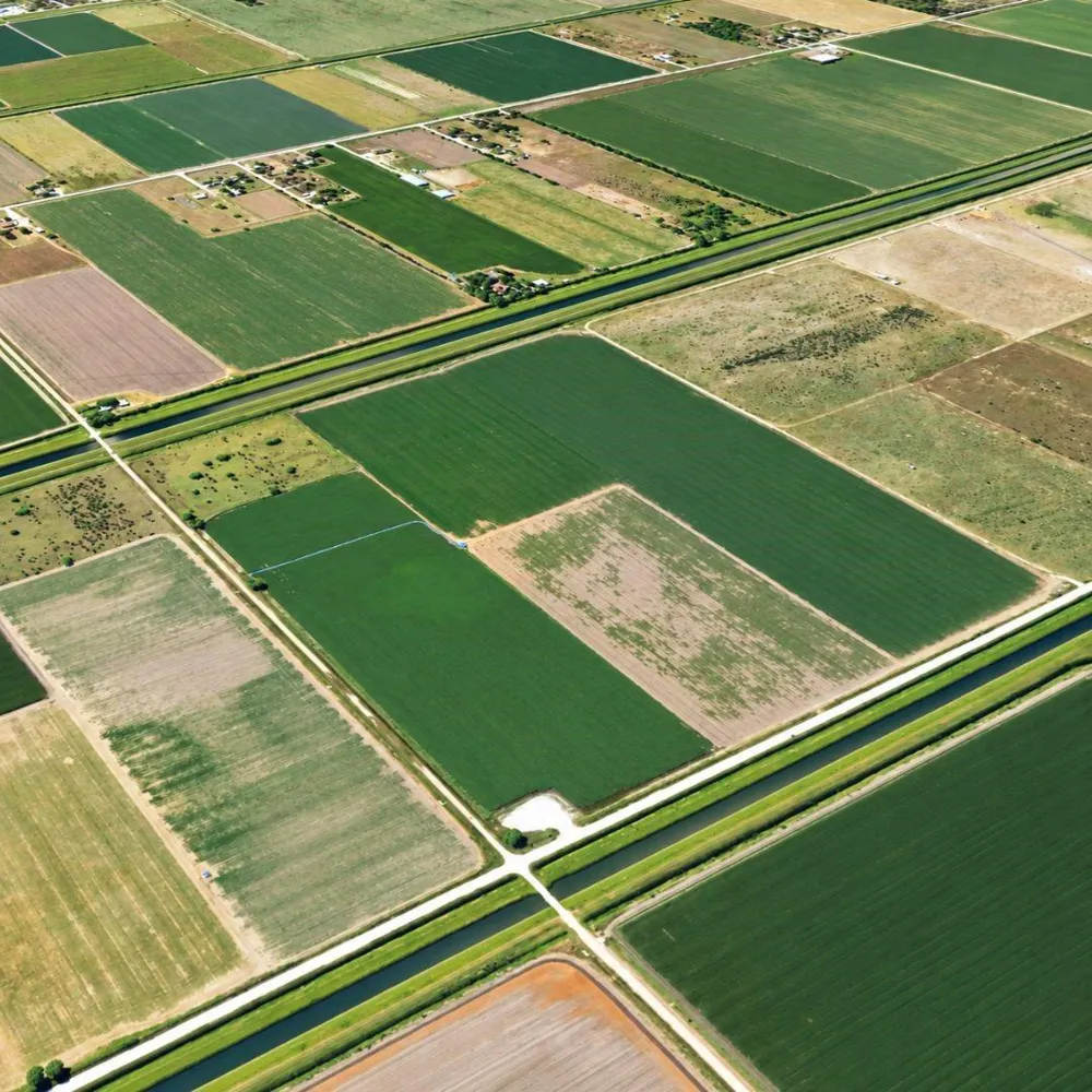 N Of Gracia Road Rio Hondo, TX 78583