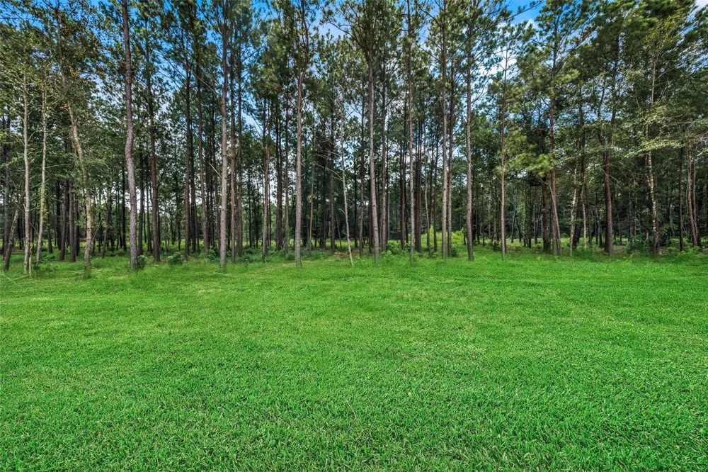 13656 Armstrong Street Conroe, TX 77303