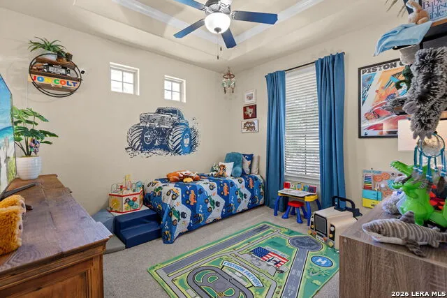 638 CAMBRIDGE DR New Braunfels, TX 78132