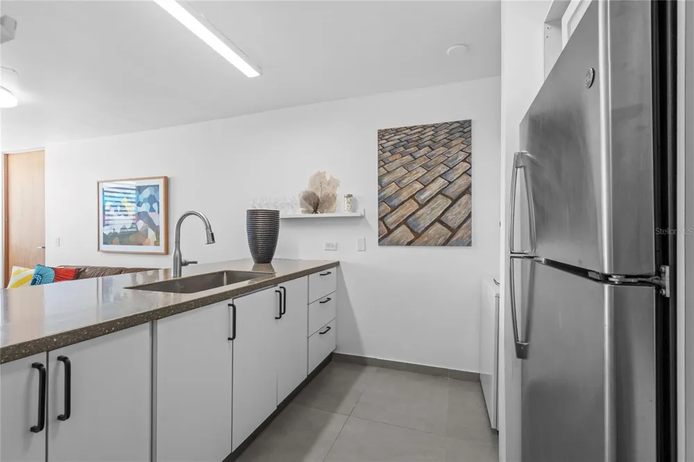 1479 ASHFORD #1616 Condado, PR 00907
