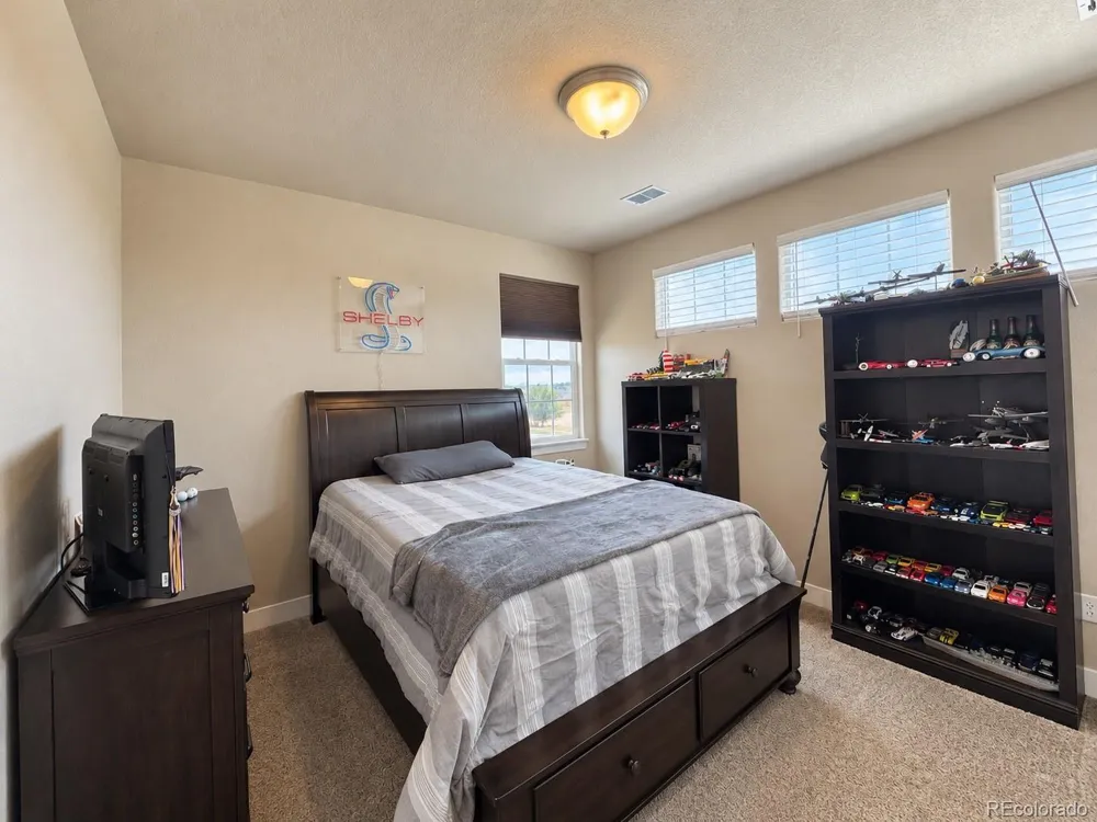 991 Mt Andrew Drive Severance, CO 80550