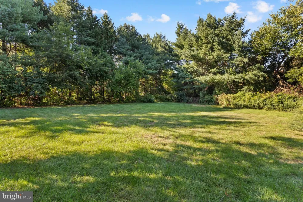 150 LIONS Freehold, NJ 07728
