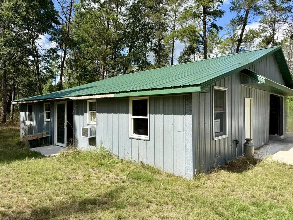 10797 Twin Creek Road Irons, MI 49644