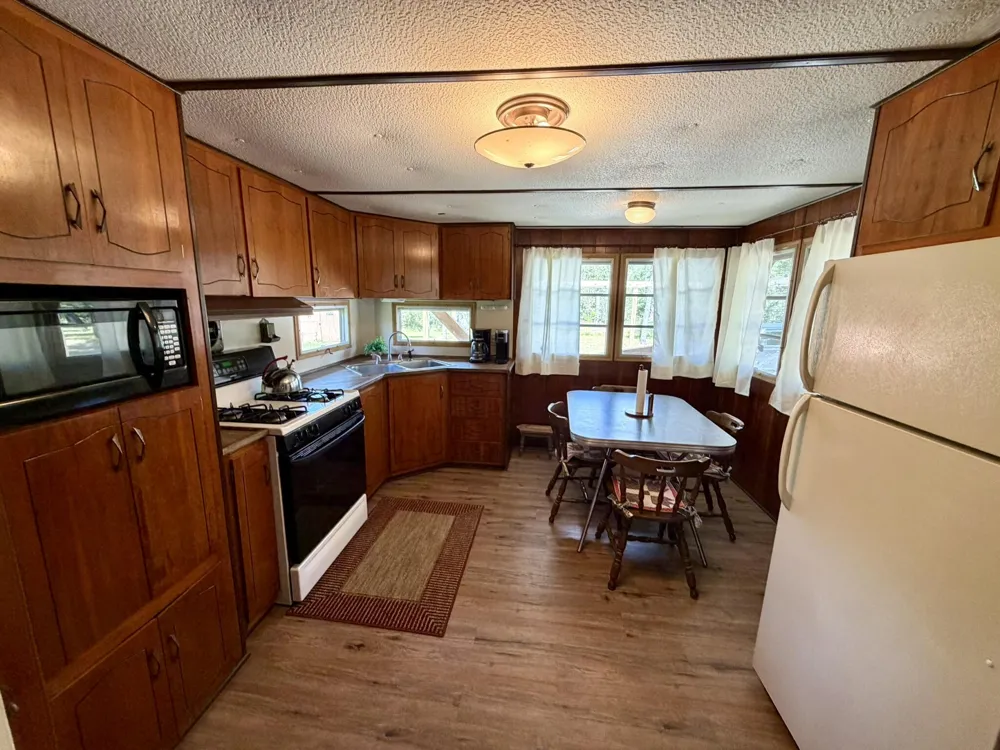 10797 Twin Creek Road Irons, MI 49644