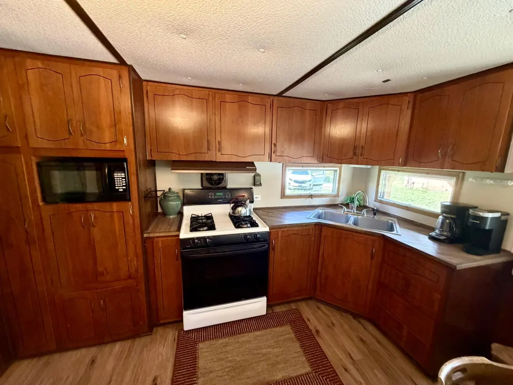10797 Twin Creek Road Irons, MI 49644